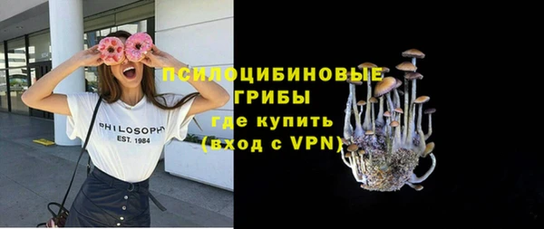 ПСИЛОЦИБИНОВЫЕ ГРИБЫ Волоколамск