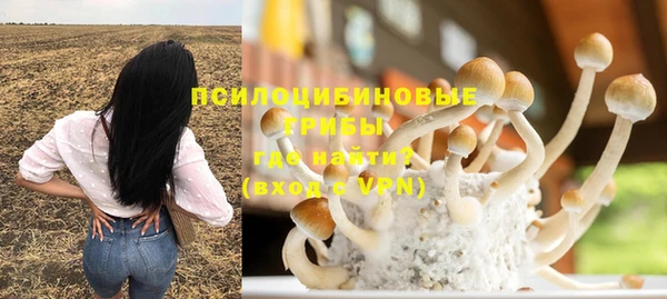 mix Горнозаводск